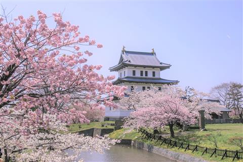 弘前公園（桜の見頃：4月下旬〜5月上旬）